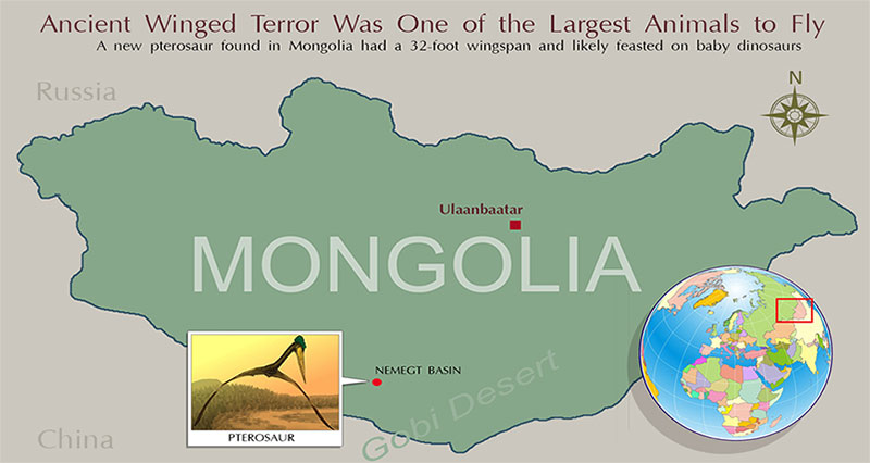 mongolia dinosaur discoveries 